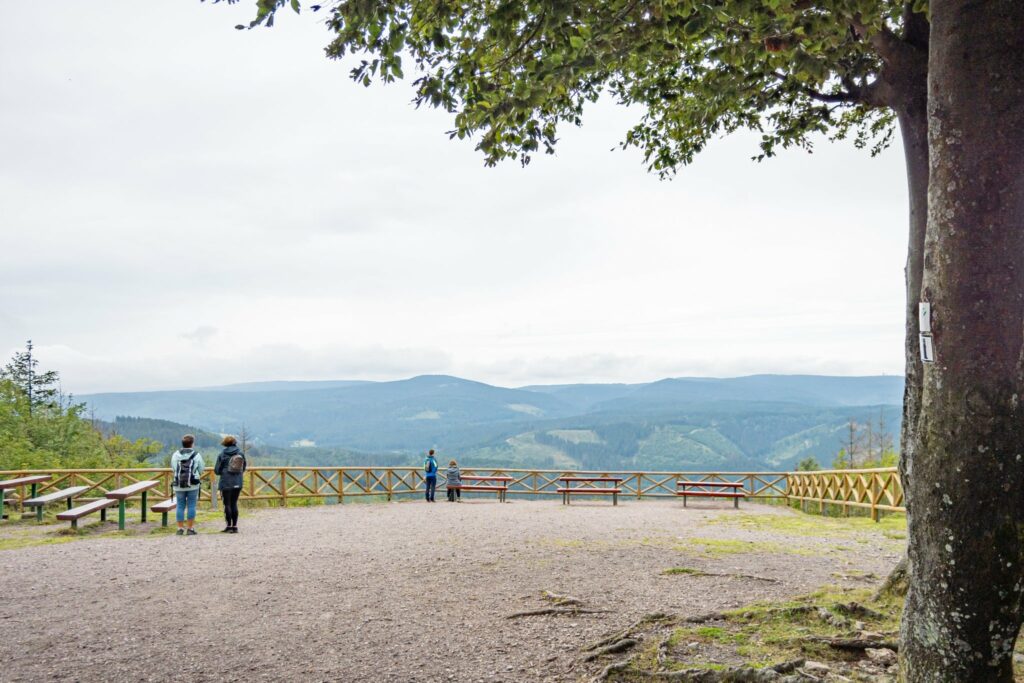 Ausblick Kickelhahn Ilmenau