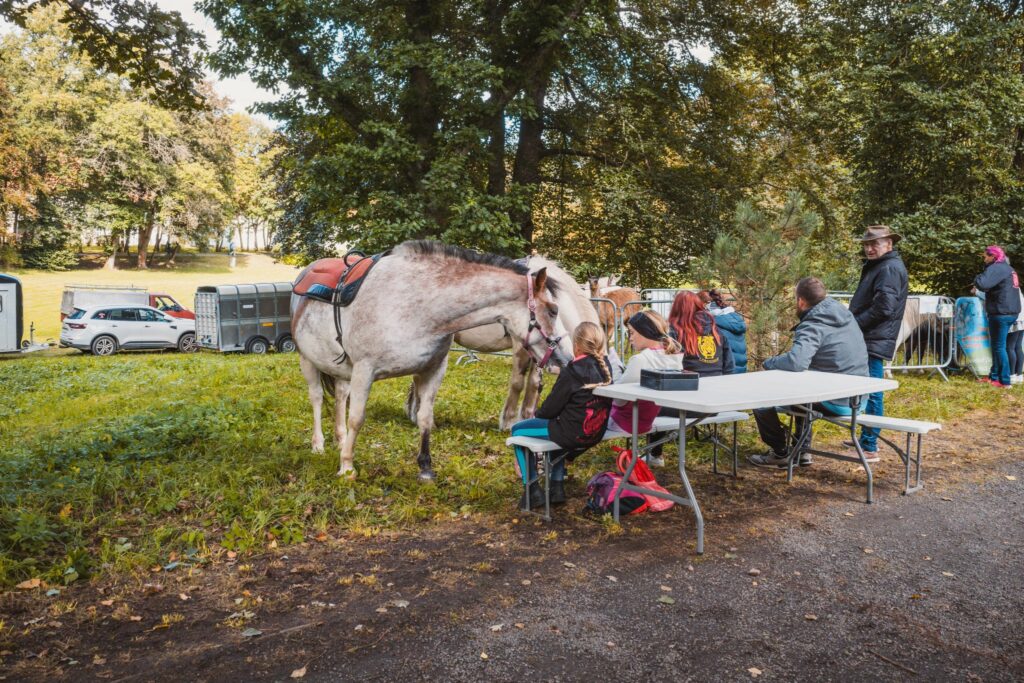 Ponyreiten Gotha